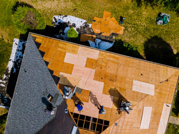 Best Roof Gutter Cleaning  in Port Reading, NJ
